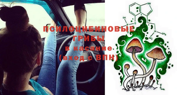 гидропоника Аркадак