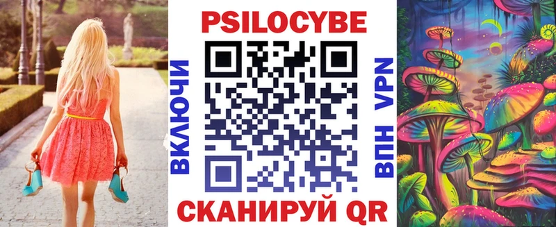 Галлюциногенные грибы Psilocybe  Болохово 